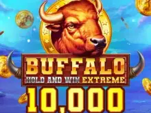 Buffalo Hold and Win